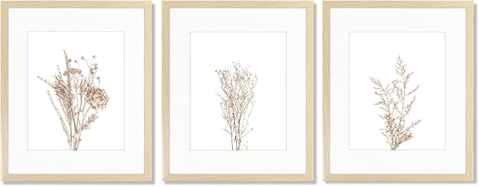 Botanical Wall Art Set